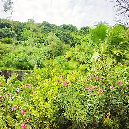 Okeanis & Adults Only Appartement