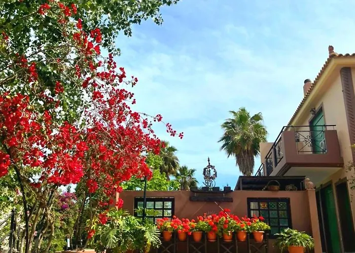 Okeanis & Adults Only *